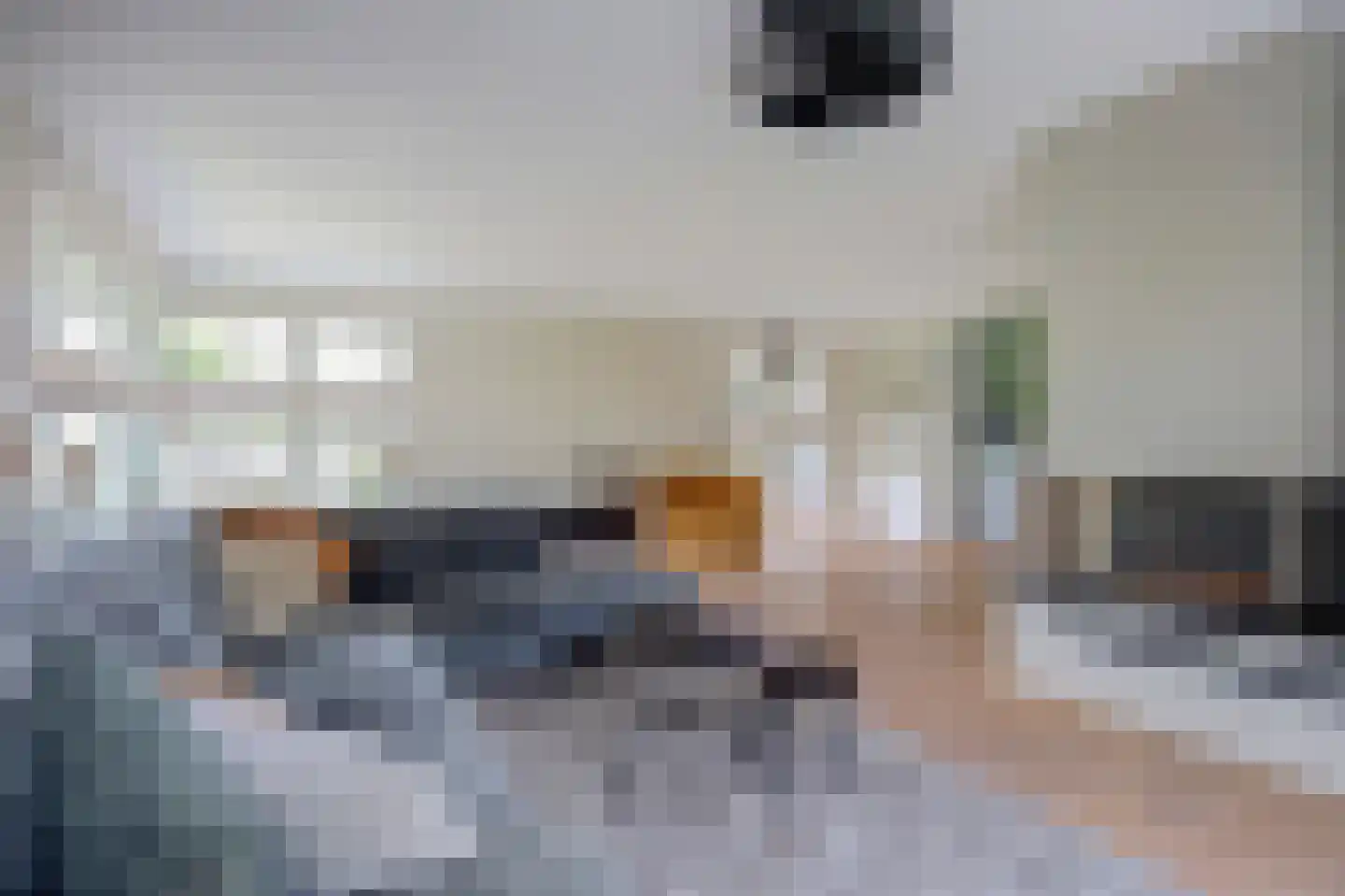 Wilgenhoek 21 Vroomshoop thumbnail 16