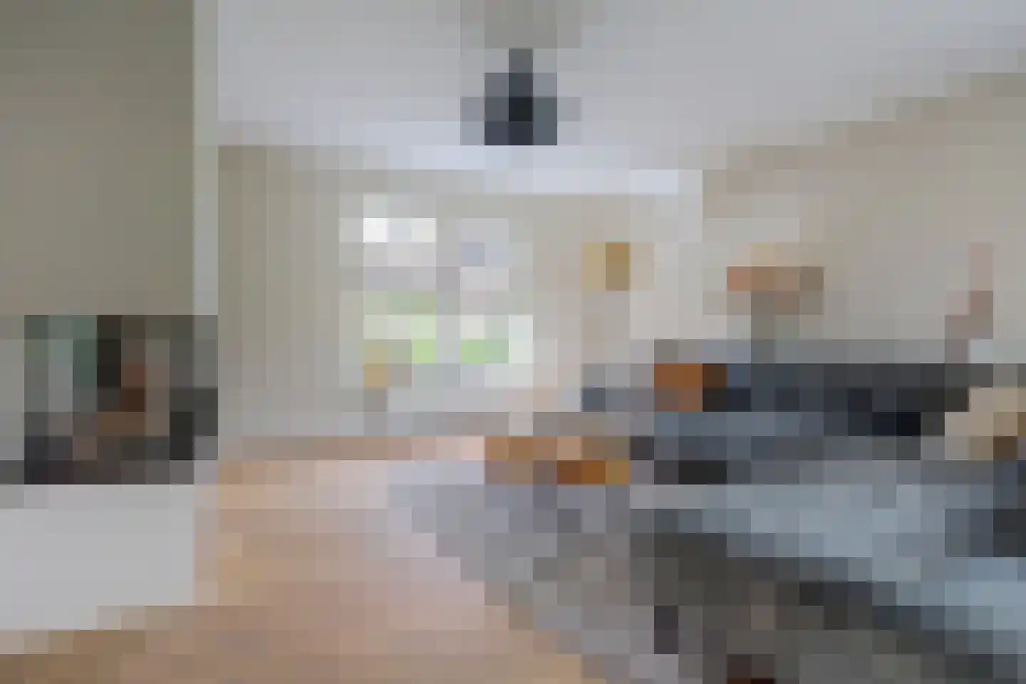 Wilgenhoek 21 Vroomshoop thumbnail 17