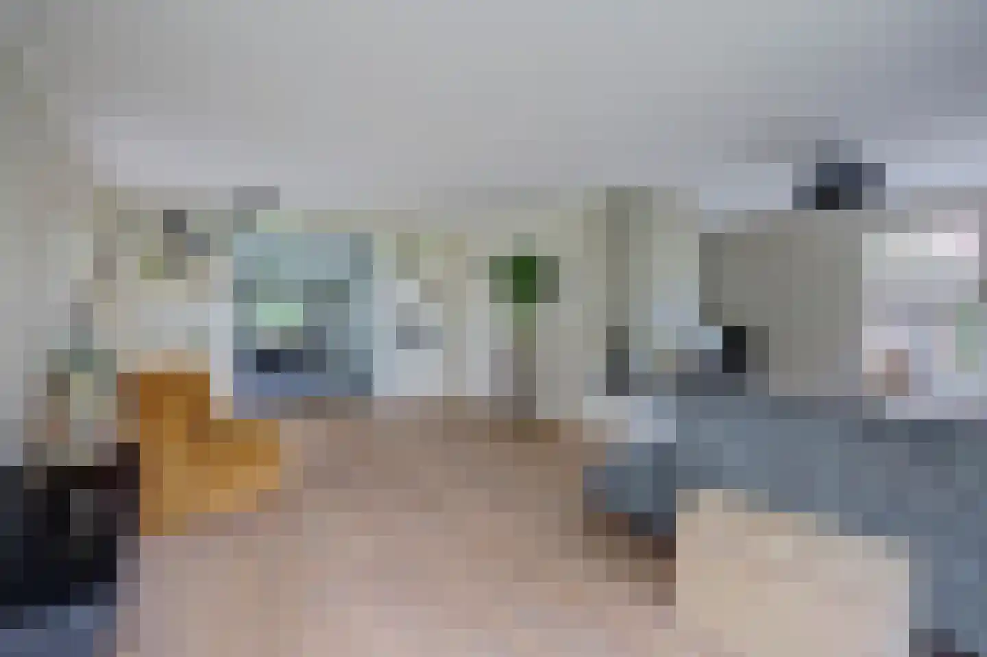 Wilgenhoek 21 Vroomshoop thumbnail 18
