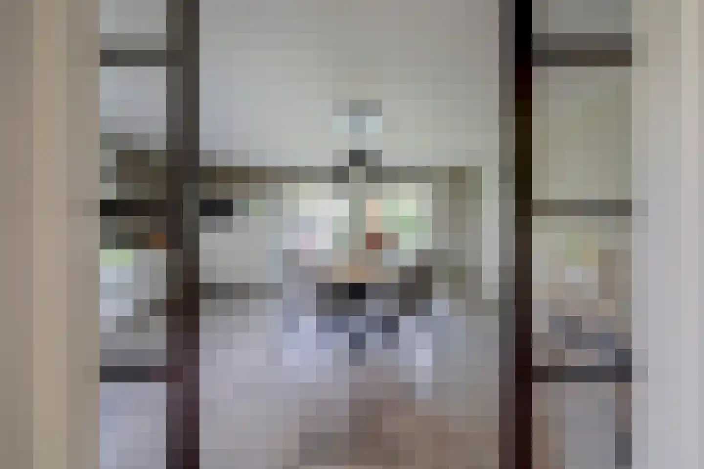 Wilgenhoek 21 Vroomshoop thumbnail 19