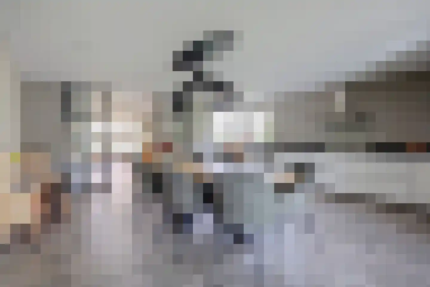 Wilgenhoek 21 Vroomshoop thumbnail 20