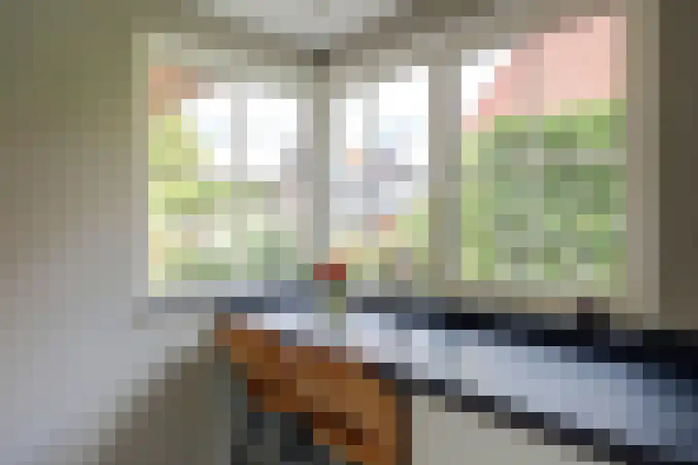 Wilgenhoek 21 Vroomshoop thumbnail 21