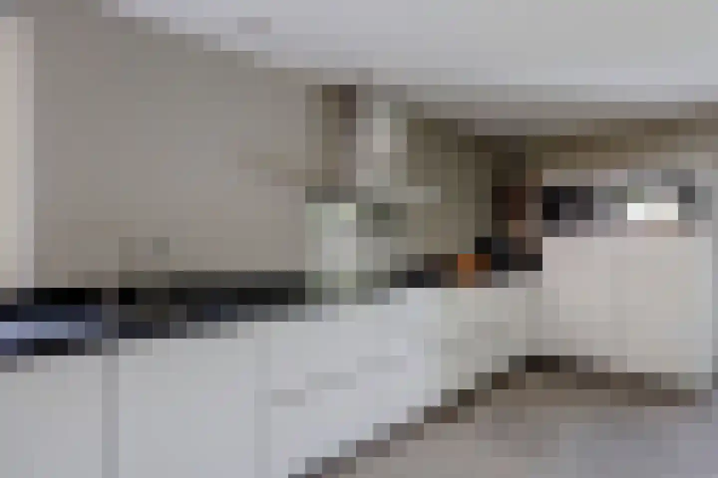 Wilgenhoek 21 Vroomshoop thumbnail 22