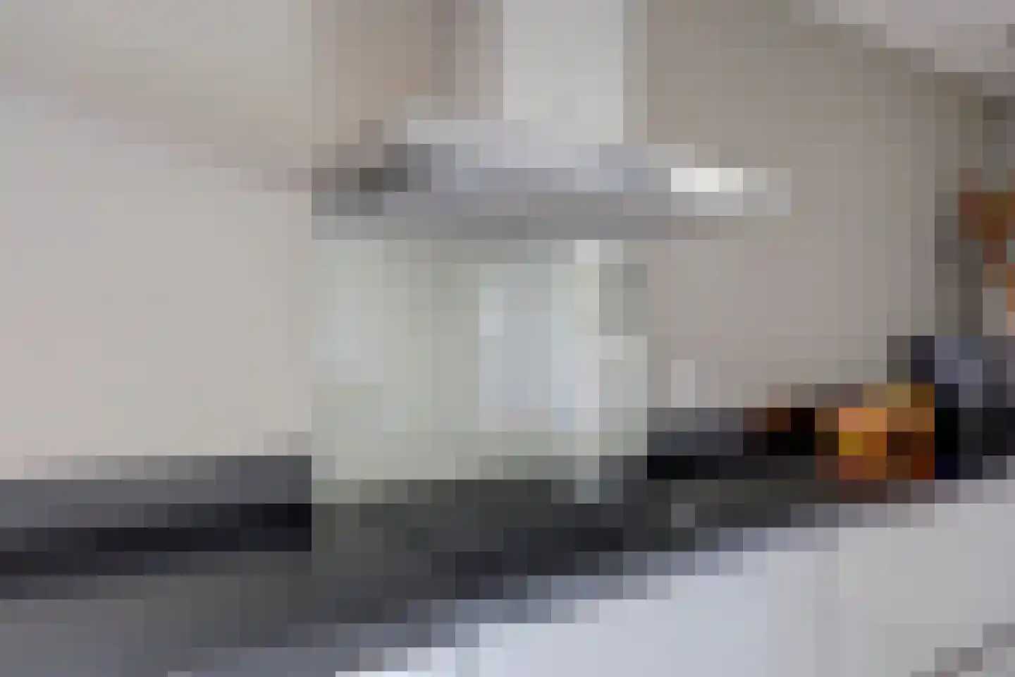 Wilgenhoek 21 Vroomshoop thumbnail 23