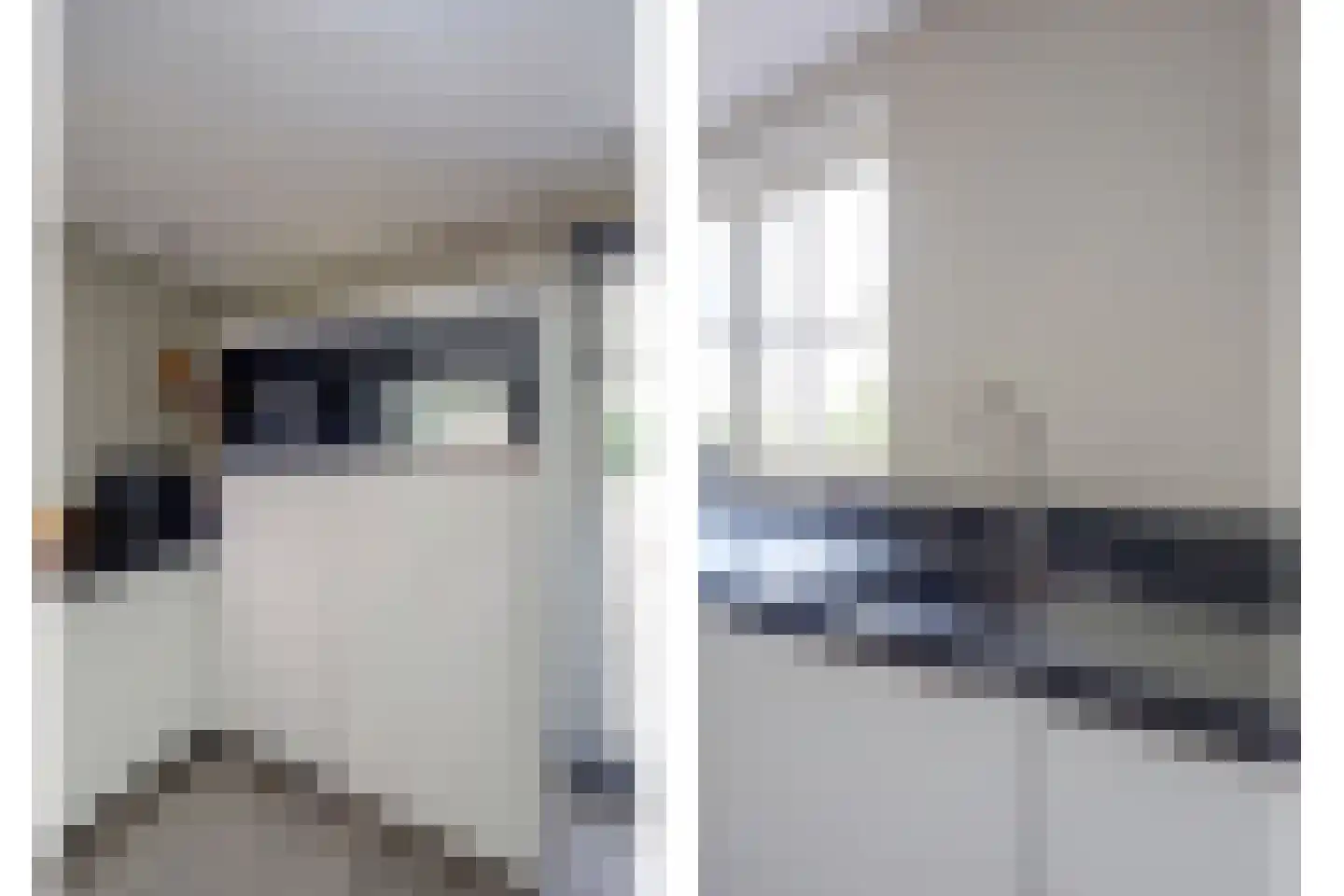 Wilgenhoek 21 Vroomshoop thumbnail 24