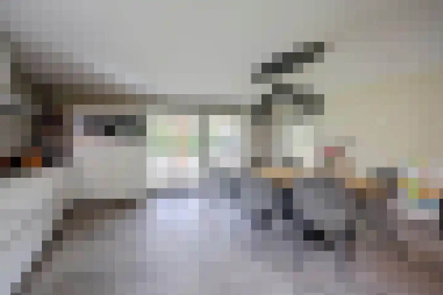 Wilgenhoek 21 Vroomshoop thumbnail 25
