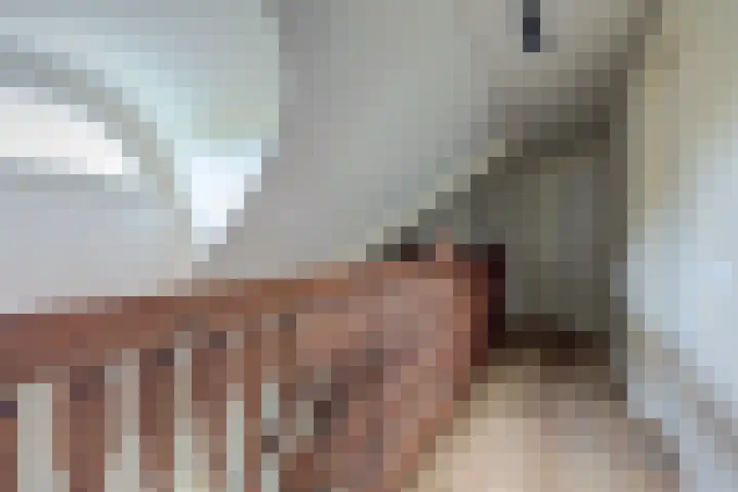Wilgenhoek 21 Vroomshoop thumbnail 27
