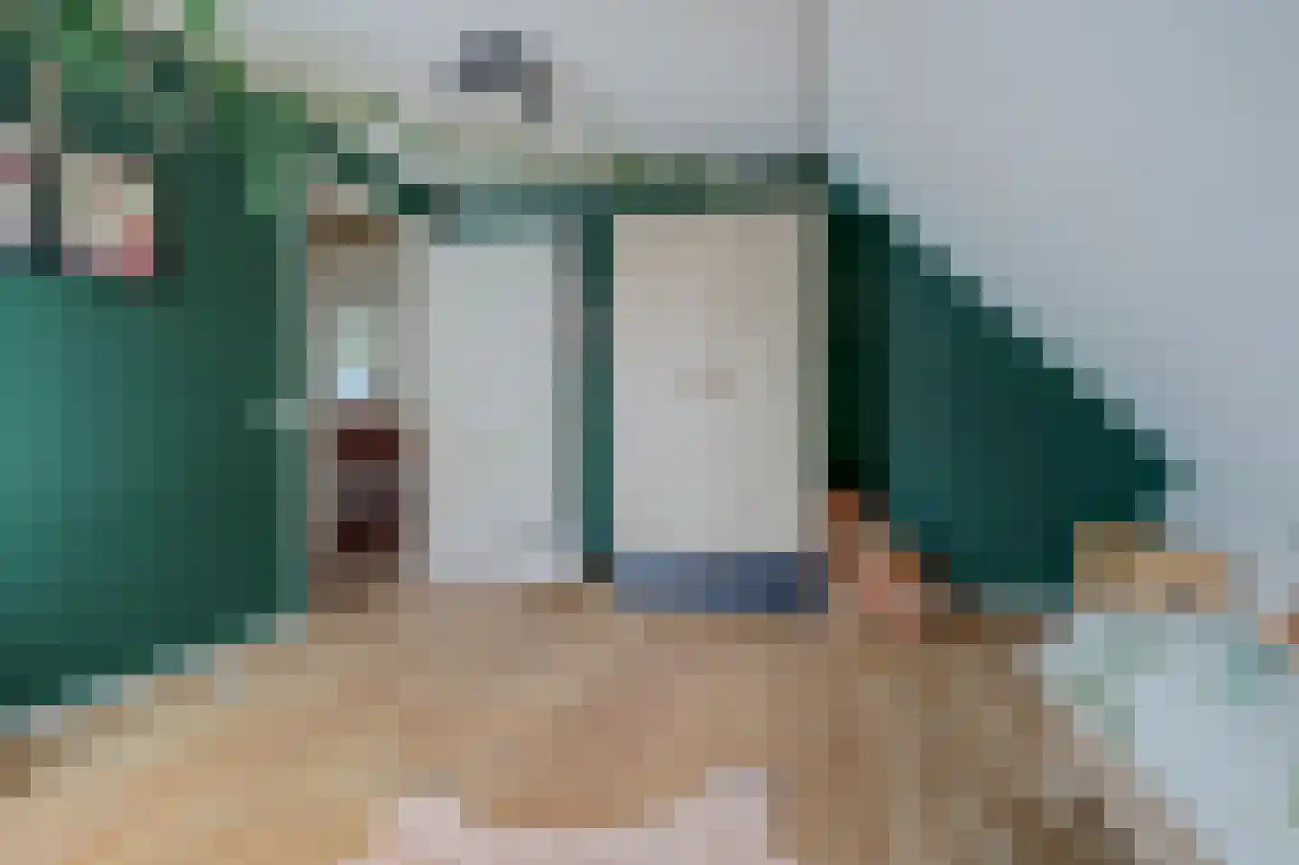 Wilgenhoek 21 Vroomshoop thumbnail 28