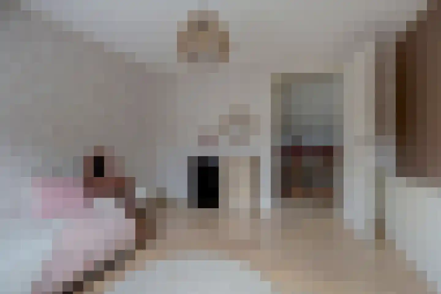 Wilgenhoek 21 Vroomshoop thumbnail 30
