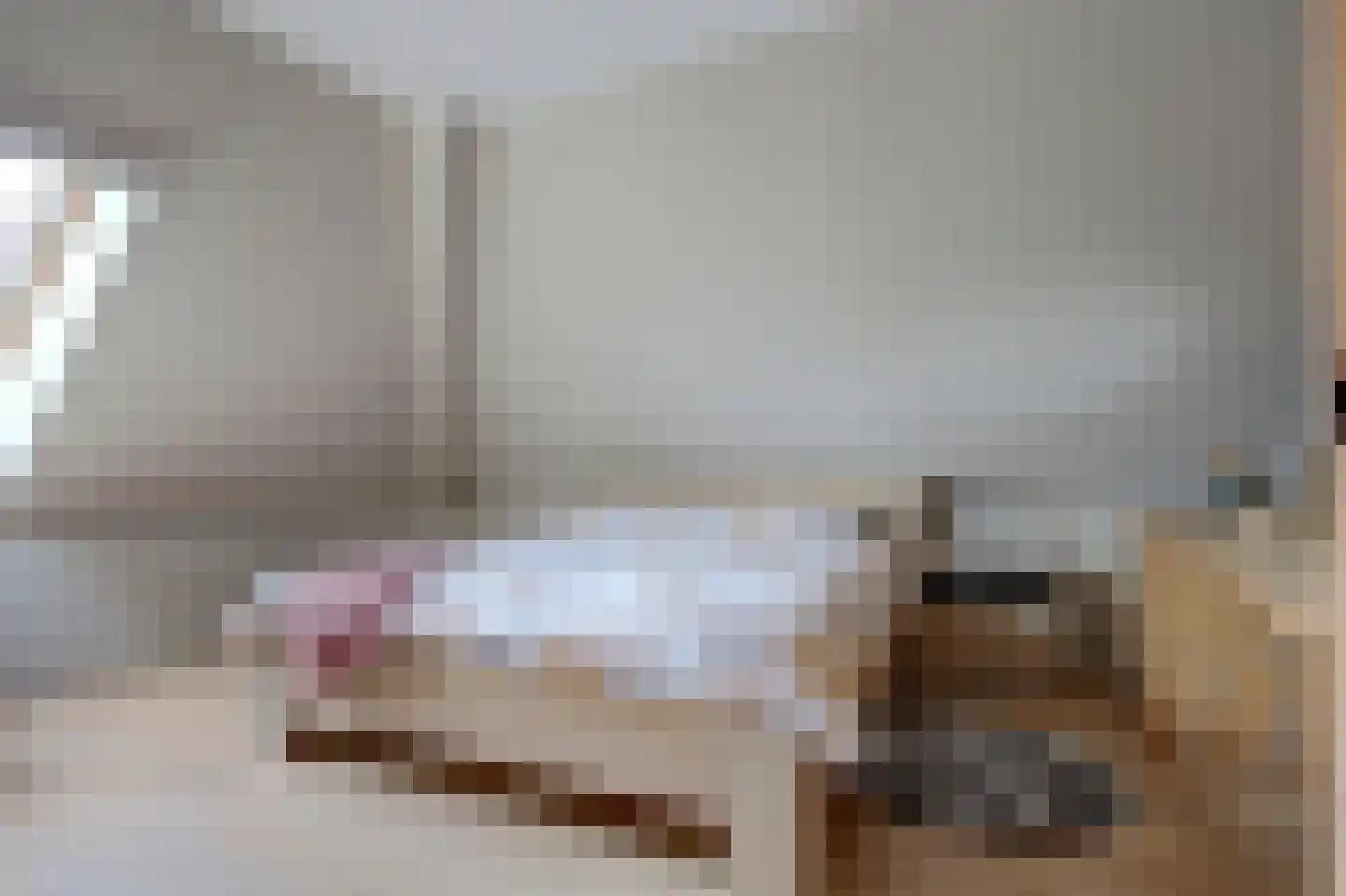 Wilgenhoek 21 Vroomshoop thumbnail 31