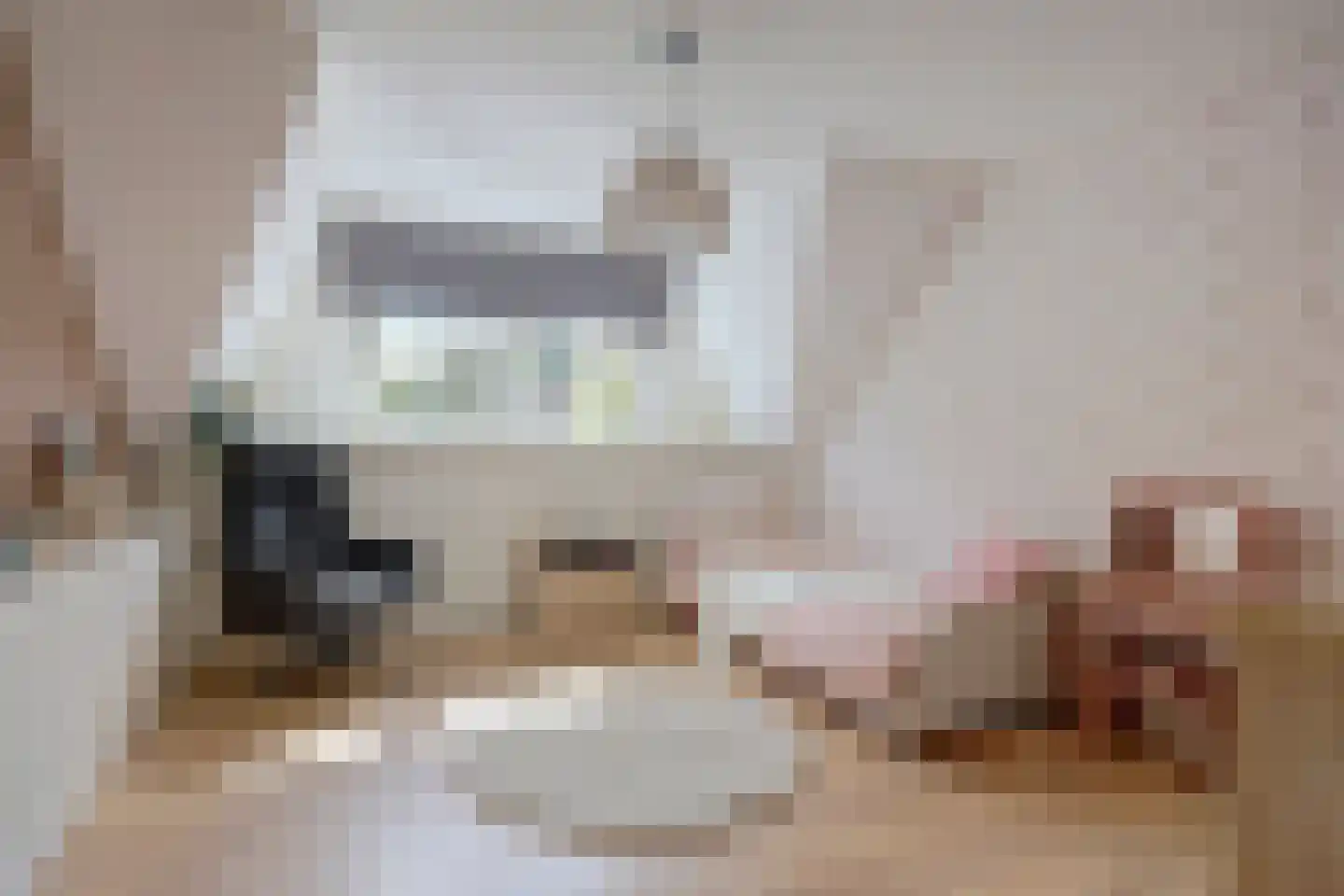 Wilgenhoek 21 Vroomshoop thumbnail 32
