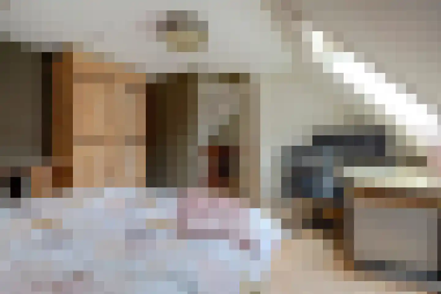 Wilgenhoek 21 Vroomshoop thumbnail 33