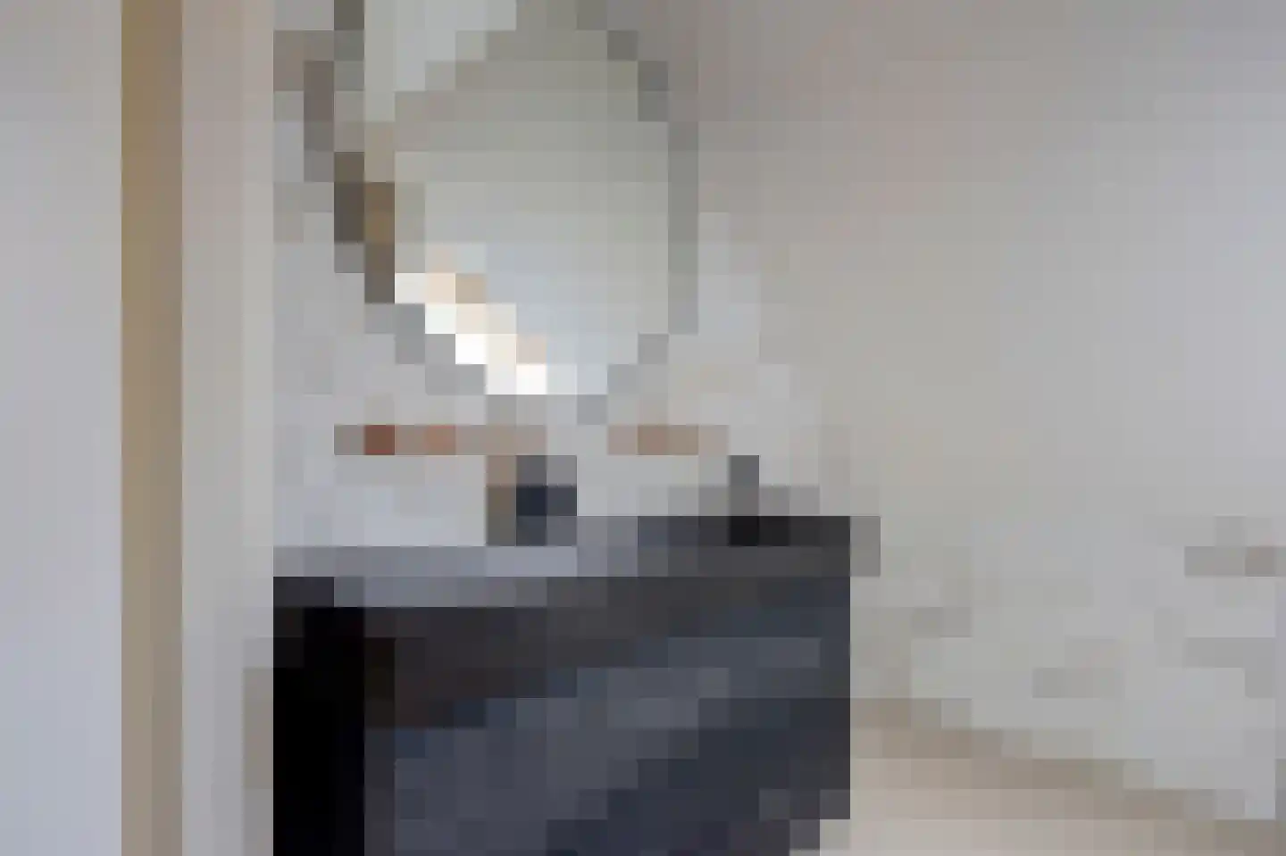 Wilgenhoek 21 Vroomshoop thumbnail 34