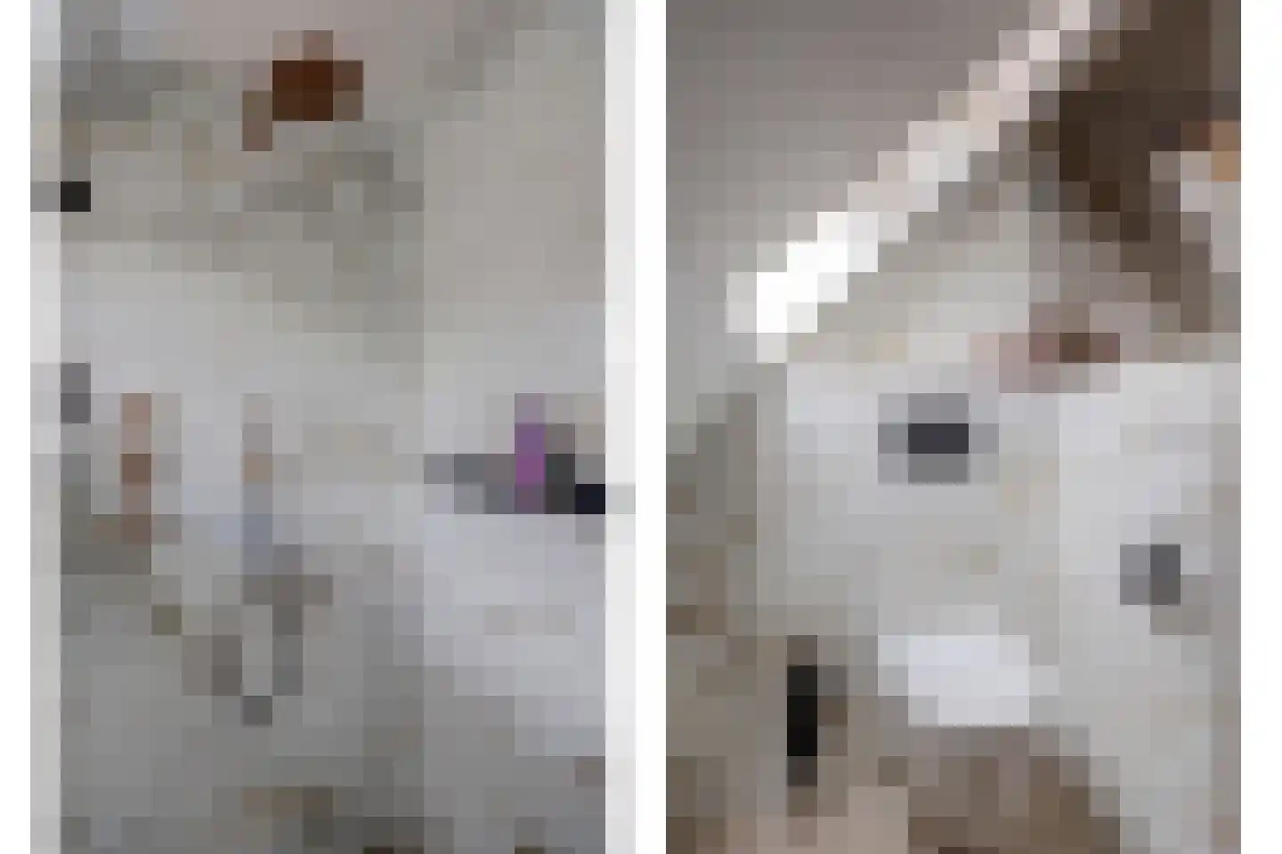 Wilgenhoek 21 Vroomshoop thumbnail 35