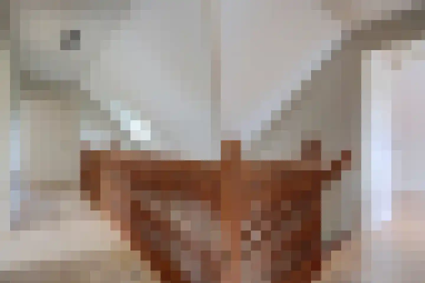 Wilgenhoek 21 Vroomshoop thumbnail 36