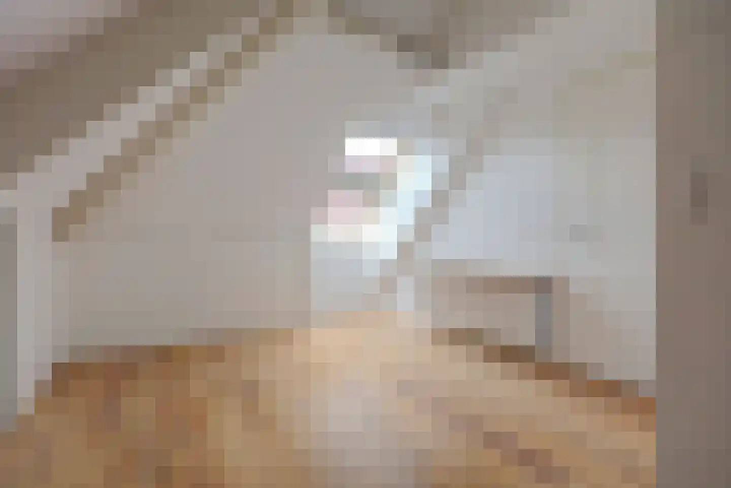 Wilgenhoek 21 Vroomshoop thumbnail 37