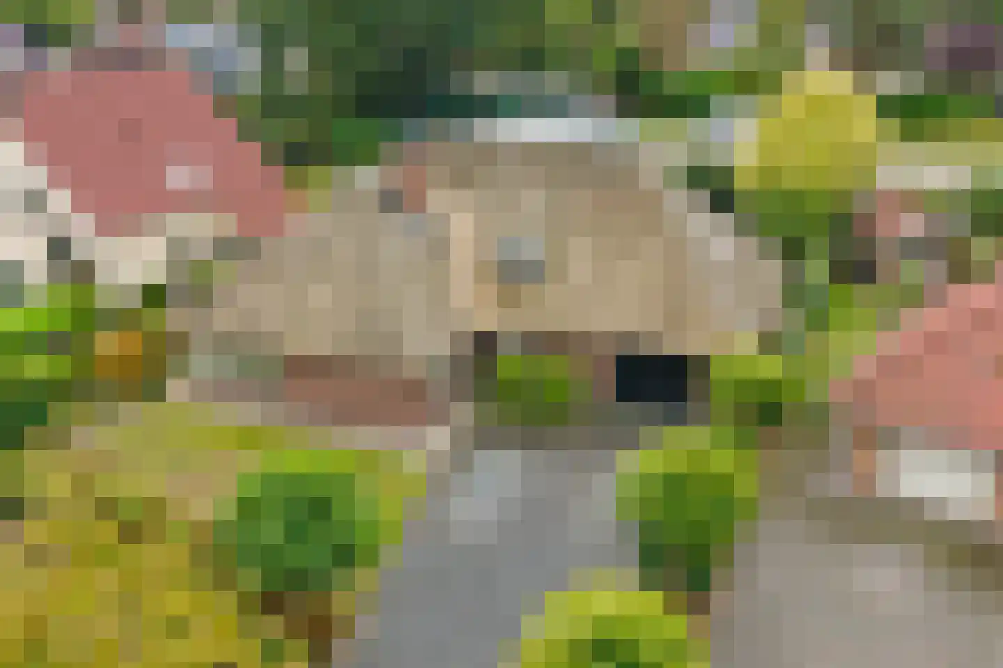 Wilgenhoek 21 Vroomshoop thumbnail 39
