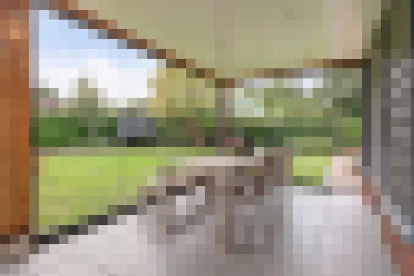 Wilgenhoek 21 Vroomshoop thumbnail 4