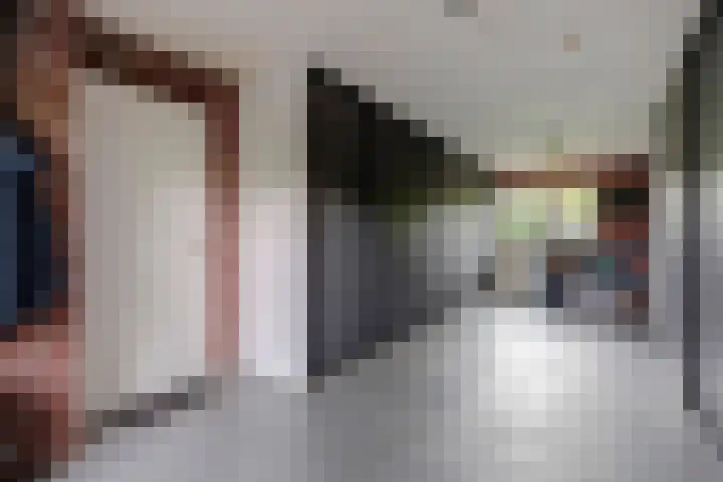 Wilgenhoek 21 Vroomshoop thumbnail 40