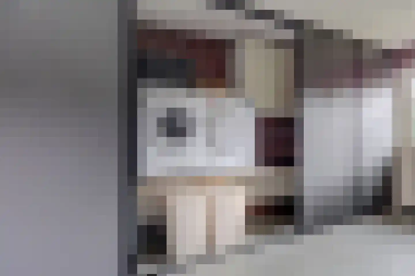 Wilgenhoek 21 Vroomshoop thumbnail 41