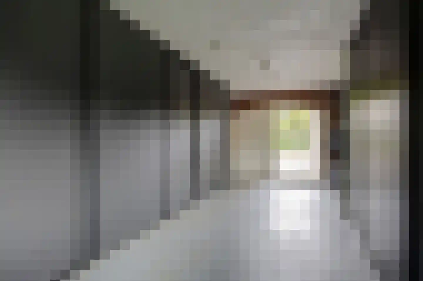 Wilgenhoek 21 Vroomshoop thumbnail 42