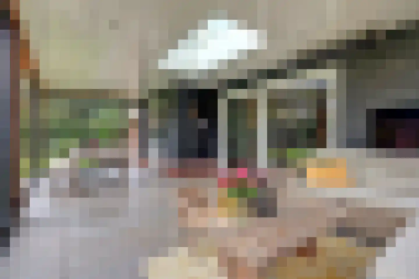 Wilgenhoek 21 Vroomshoop thumbnail 45