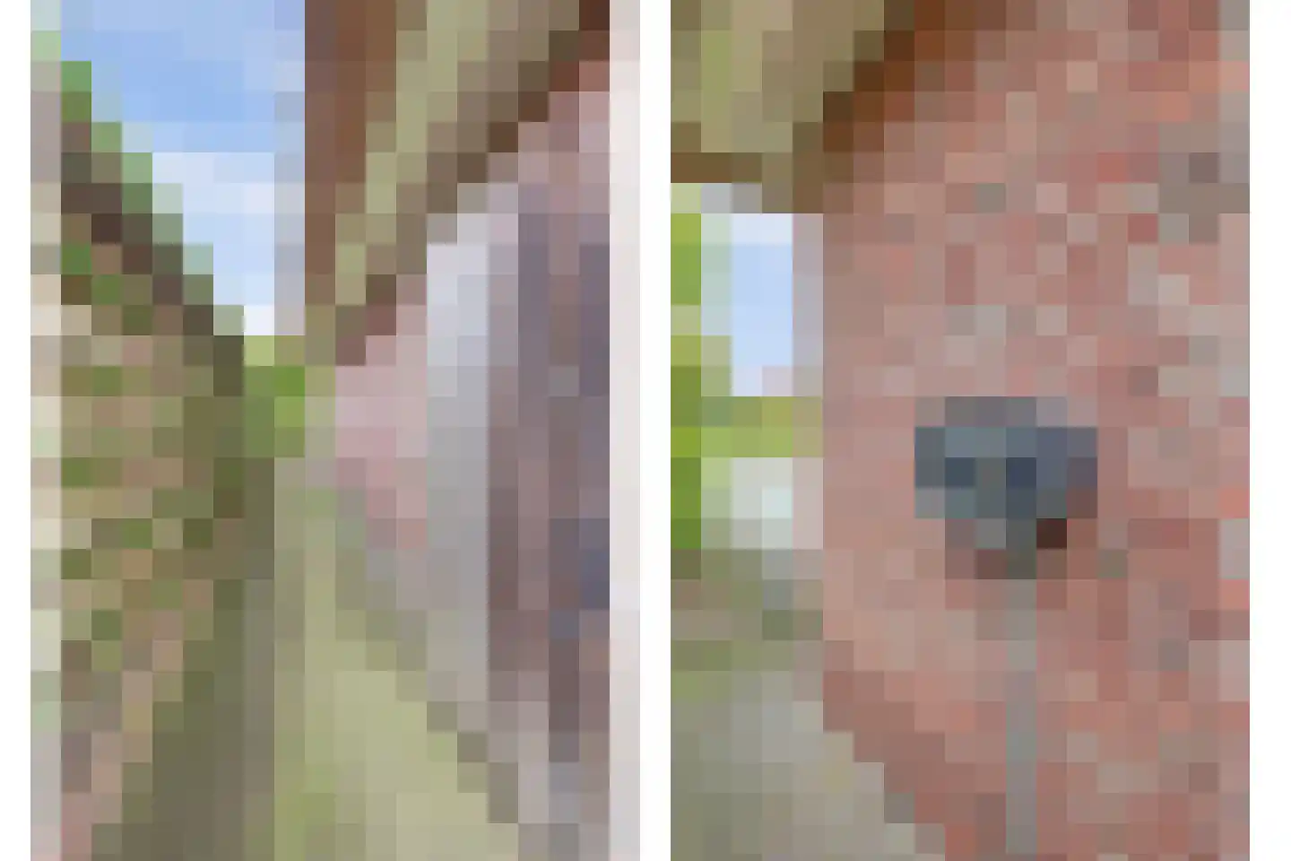 Wilgenhoek 21 Vroomshoop thumbnail 49