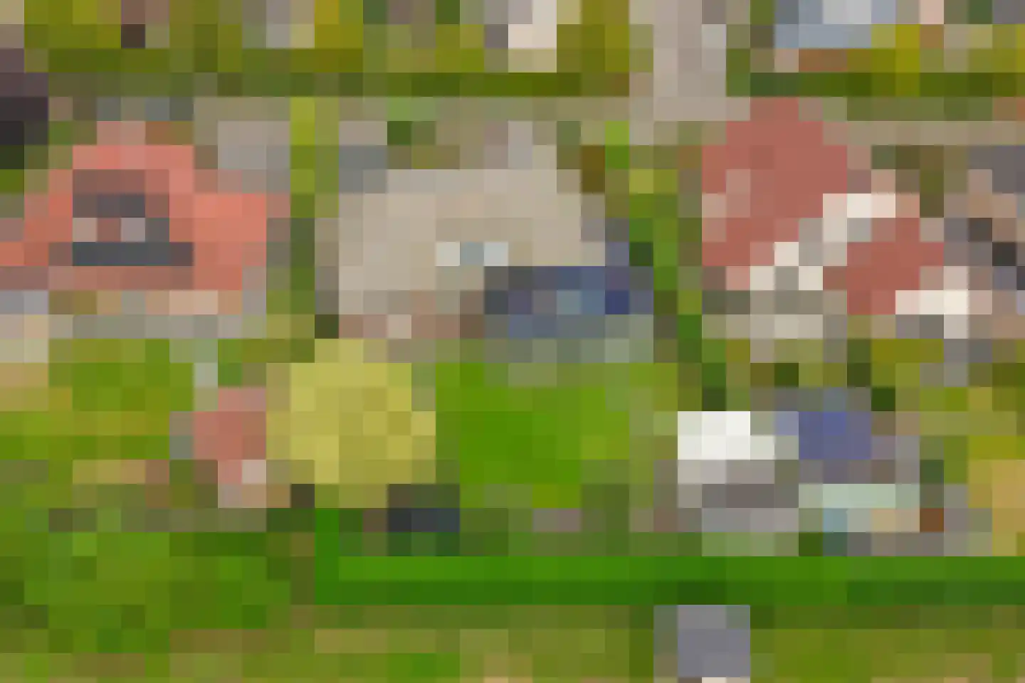 Wilgenhoek 21 Vroomshoop thumbnail 50