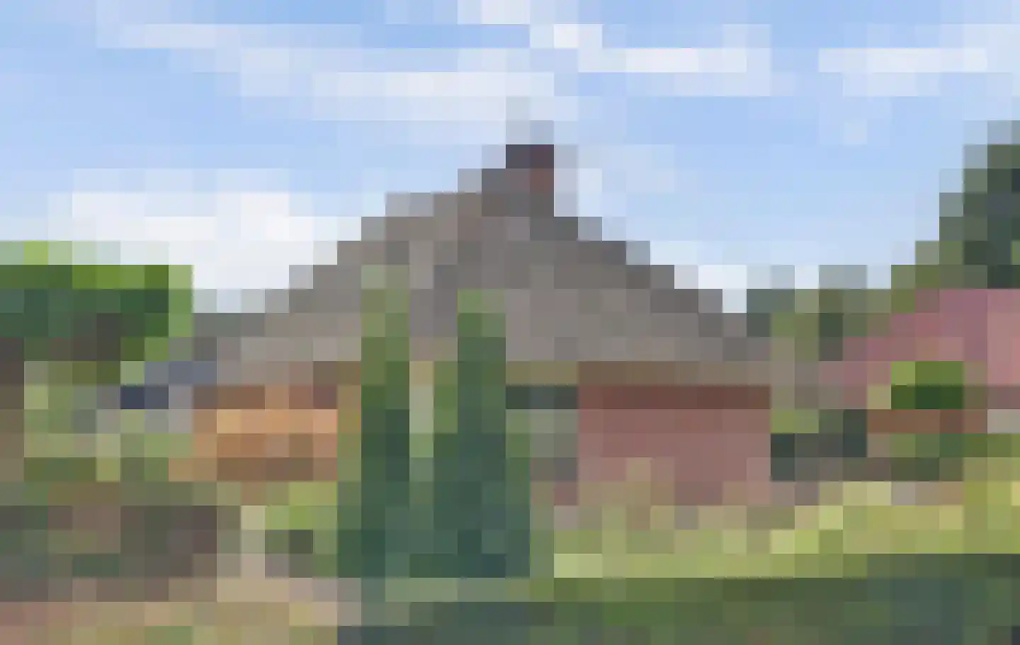 Wilgenhoek 21 Vroomshoop thumbnail 51