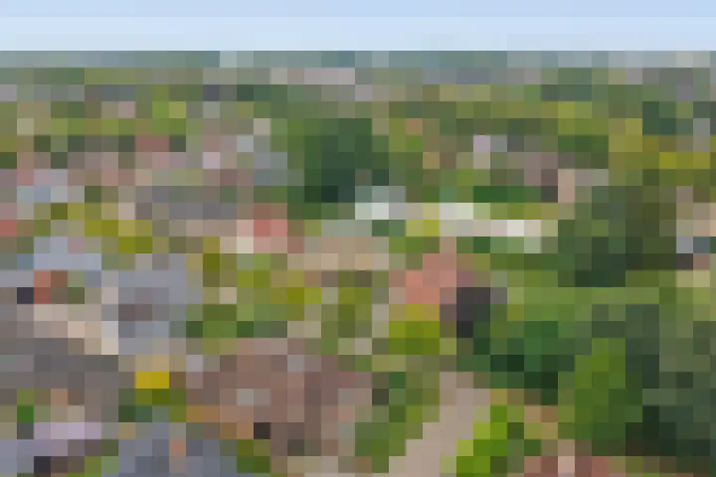 Wilgenhoek 21 Vroomshoop thumbnail 53