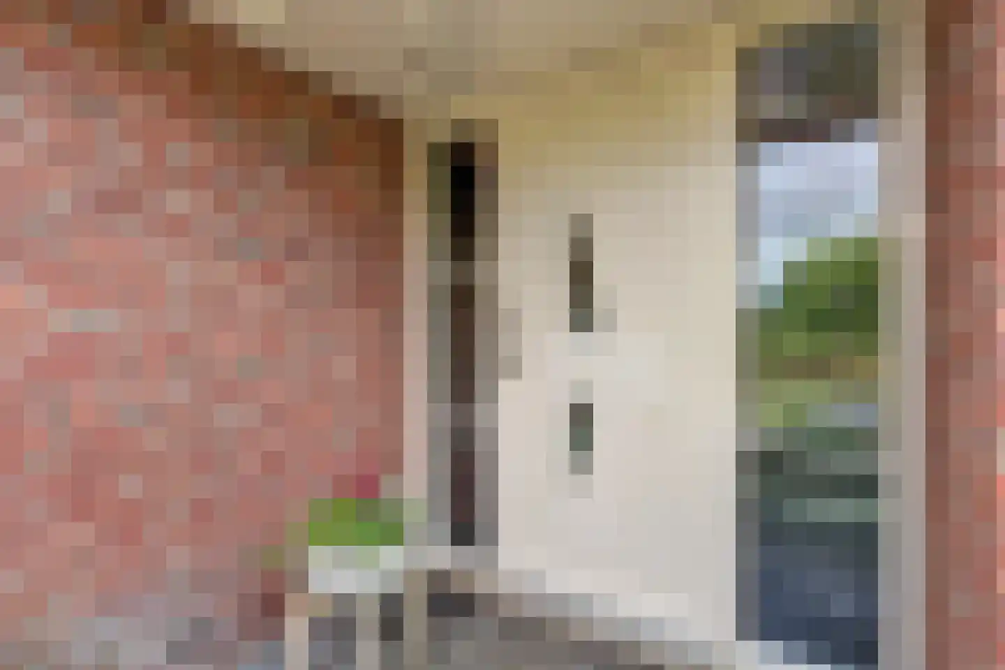 Wilgenhoek 21 Vroomshoop thumbnail 6
