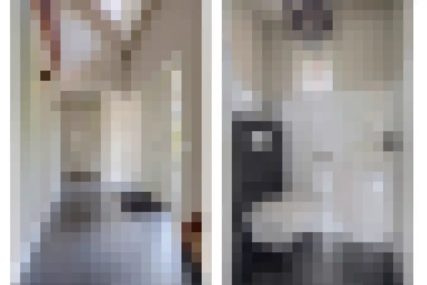 Wilgenhoek 21 Vroomshoop thumbnail 7
