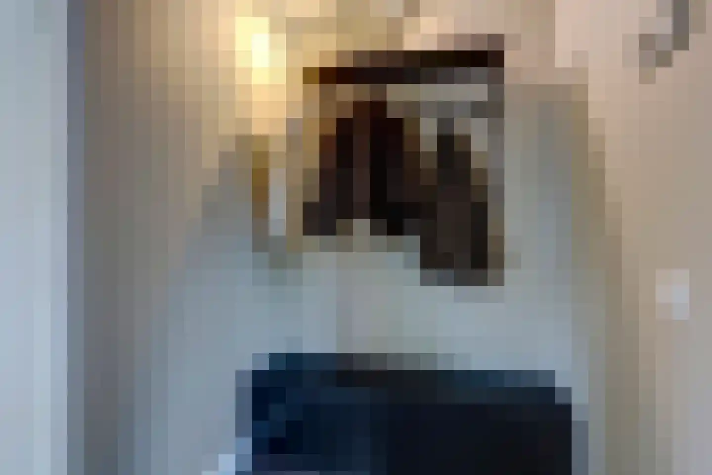 Wilgenhoek 21 Vroomshoop thumbnail 8