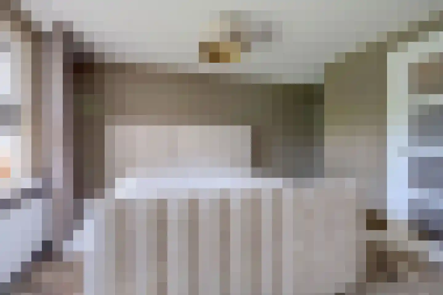 Wilgenhoek 21 Vroomshoop thumbnail 9