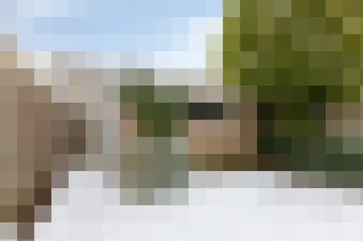 Wilgenhoek 22 Zevenaar thumbnail 19