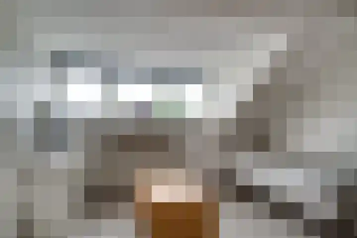 Wilgenhoek 26 Zevenaar thumbnail 25