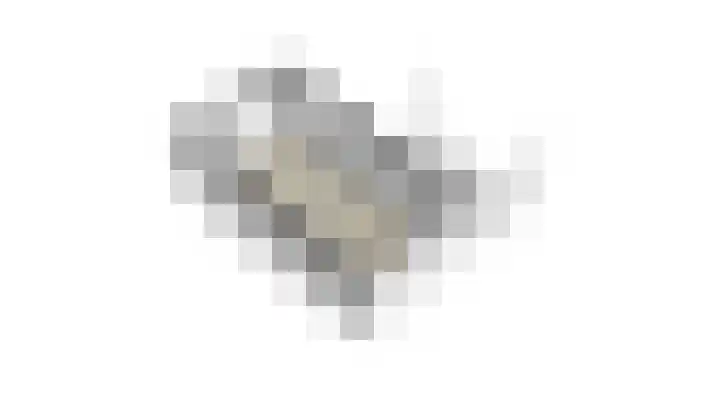 Wilgenhoek 26 Zevenaar thumbnail 36