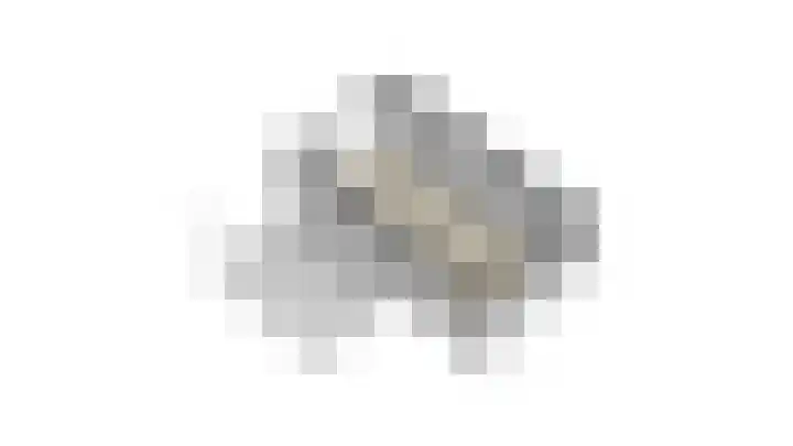 Wilgenhoek 26 Zevenaar thumbnail 37
