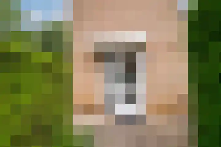 Wilgenhoek 26 Zevenaar thumbnail 4