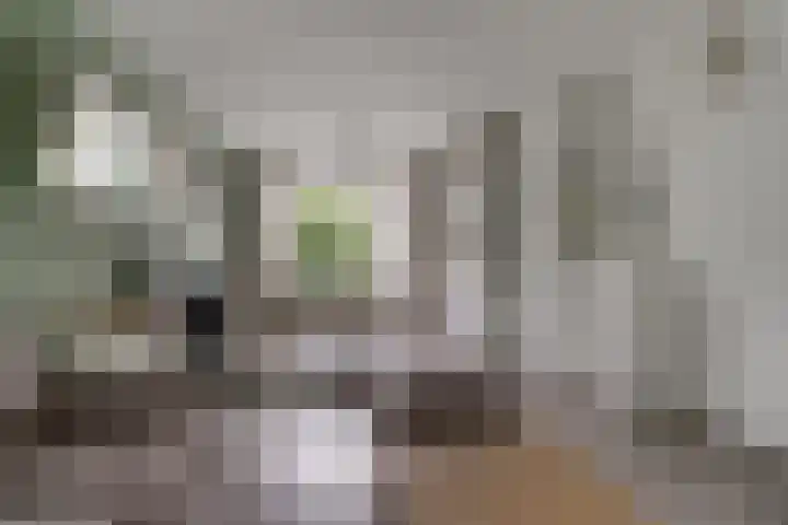 Wilgenhoek 26 Zevenaar thumbnail 5