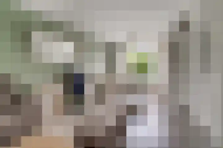 Wilgenhoek 26 Zevenaar thumbnail 7
