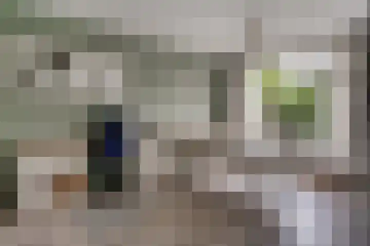 Wilgenhoek 26 Zevenaar thumbnail 8