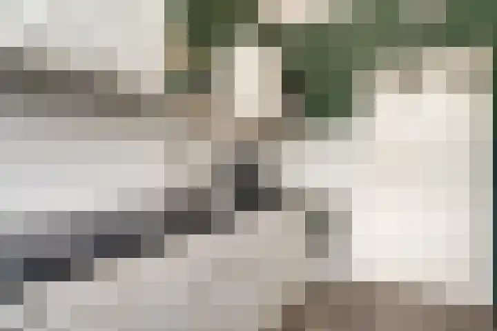 Wilgenhoek 26 Zevenaar thumbnail 9
