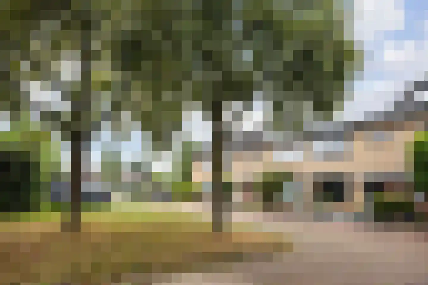 Wilgenhoek 30 Zevenaar thumbnail 4