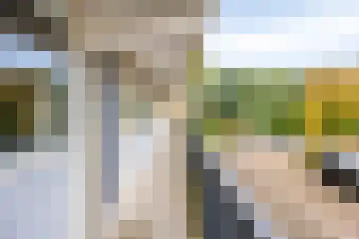 Wilgenhoek 43 Capelle aan den IJssel thumbnail 12