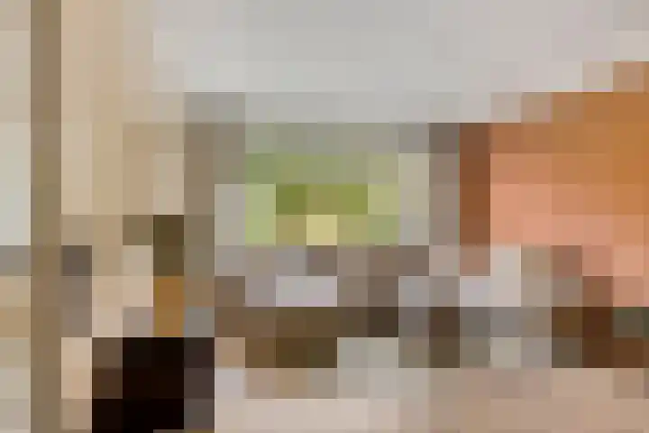 Wilgenhoek 43 Capelle aan den IJssel thumbnail 17