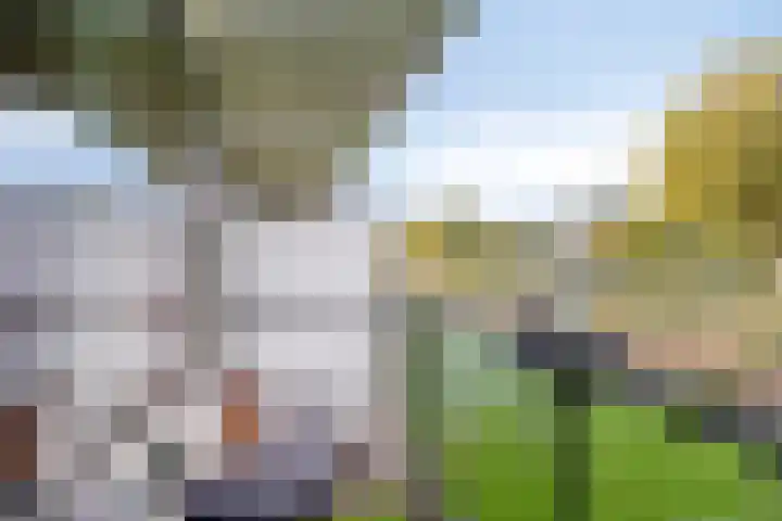 Wilgenhoek 43 Capelle aan den IJssel thumbnail 26