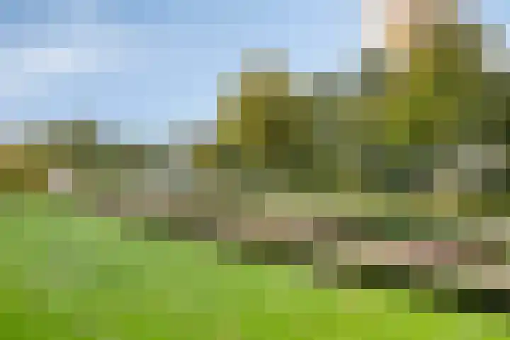 Wilgenhoek 43 Capelle aan den IJssel thumbnail 30