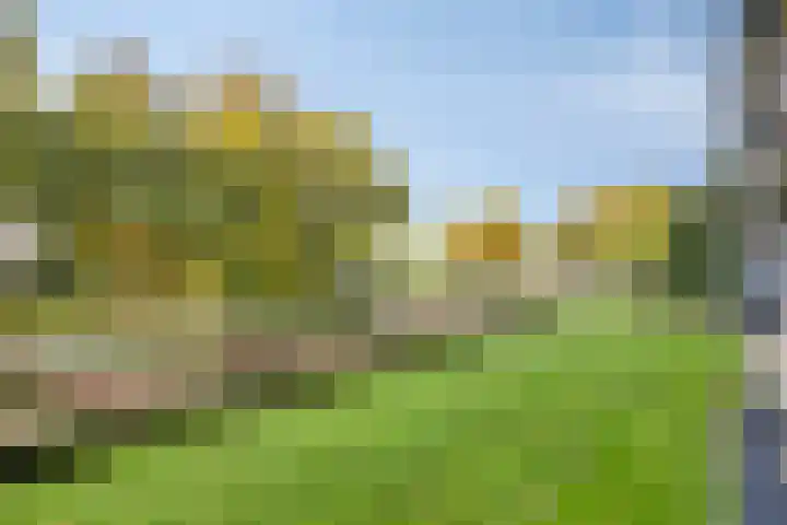 Wilgenhoek 43 Capelle aan den IJssel thumbnail 31