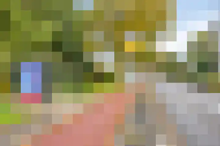 Wilgenhoek 43 Capelle aan den IJssel thumbnail 33